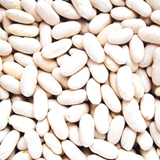 White Kidney Beans
Purity: 98-99 % 
Color : White 
Specifications : 180-190/100gm
                              200-220/100gm
Crop : Summer Crop from May to June 
             Winter Crop from Nov. to  Dec