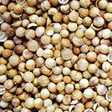 Coriandar Seeds
