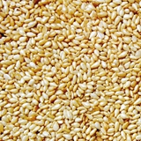 Golden Sesame Seeds
Purity : 98-99 % 
Color : Golden or White
Specifications : Machine Cleaned
Crop : September
